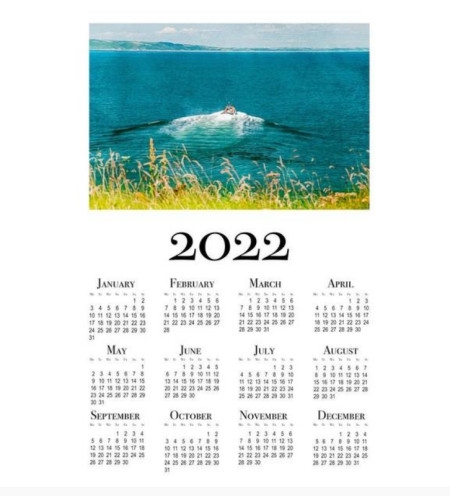 1988年的日历，时光流转中的回忆插图