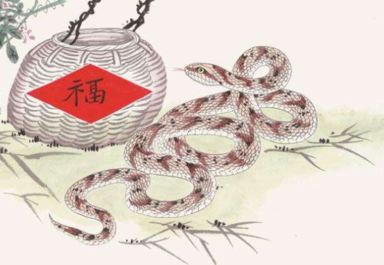 蛇蝎心肠的生肖—蛇插图