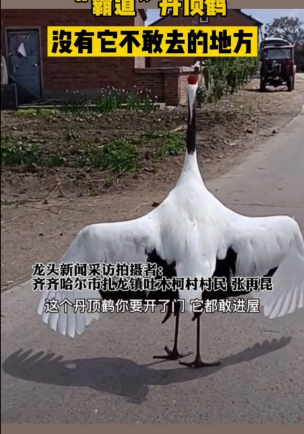 孤掌难鸣—揭示其背后所指的动物插图 孤掌难鸣—揭示其背后所指的动物插图