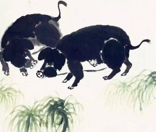 孤掌难鸣与生肖之谜插图