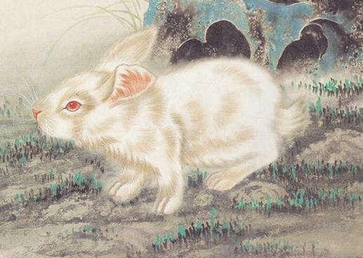 2013年属兔人运势，事业、财运与健康挑战，需谨慎应对插图