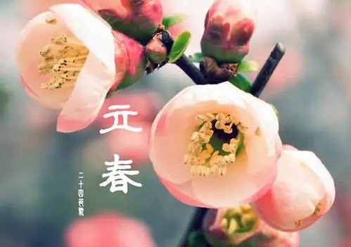 2021年立春的准确时刻插图 2021年立春的准确时刻插图