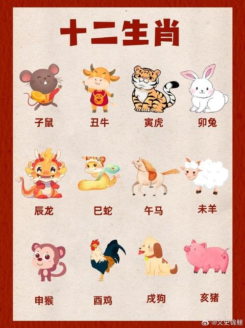 2019年的生肖是什么？插图