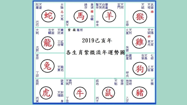 揭秘2019生肖号码表插图