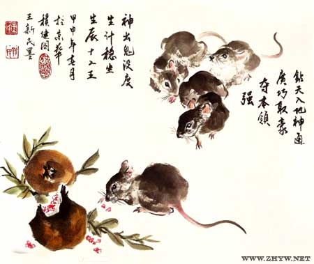 2013年属鼠人的运程展望插图