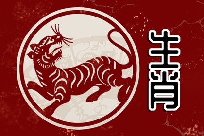 2010年,生肖虎之年插图 2010年,生肖虎之年插图