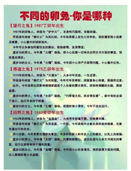 揭秘1987年属相之谜插图