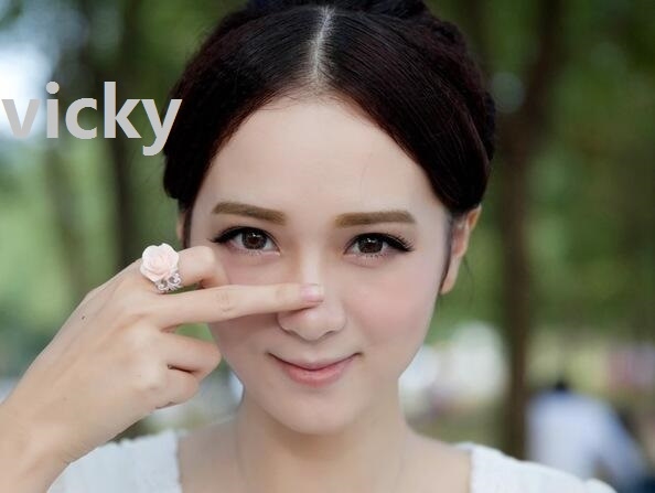 Vicky的多元含义插图