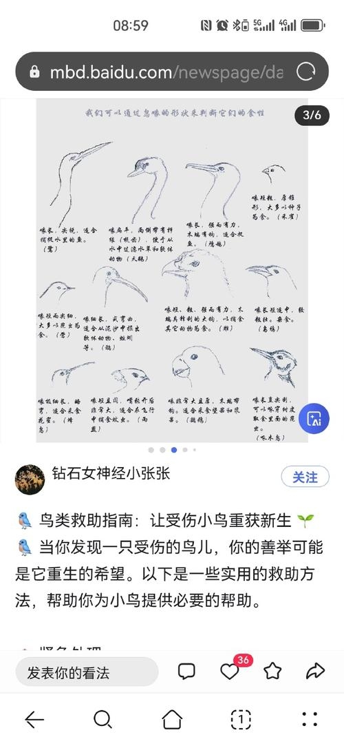 Sherry的含义解析插图