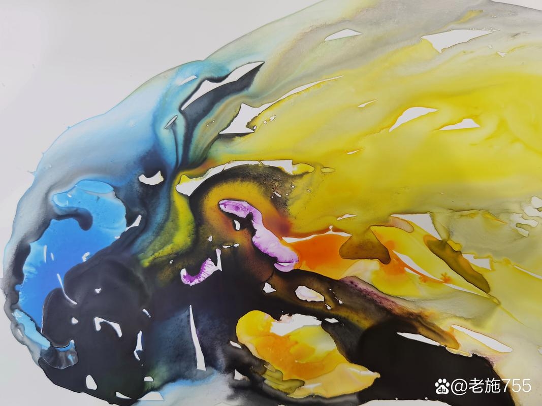 Clementine的诗意与色彩插图