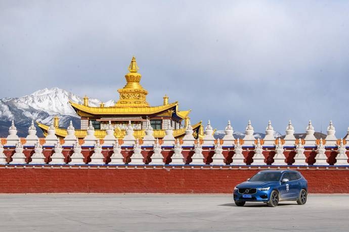 揭秘2023兔年，探寻其背后的意义与特色插图