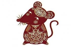 2023年是生肖年，探寻属相奥秘插图