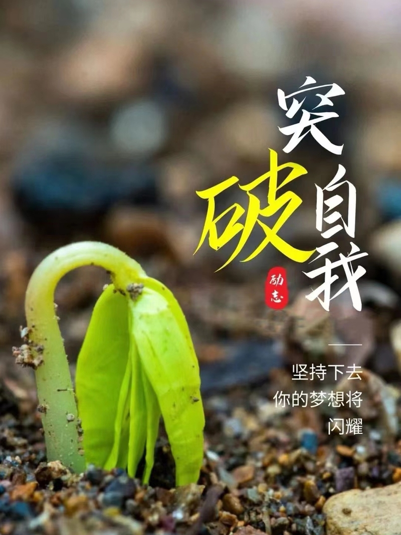 2022年，一个充满希望的转折之年插图