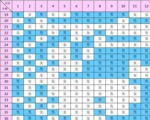 揭秘2019年清宫表正版，历史传承与现代应用插图