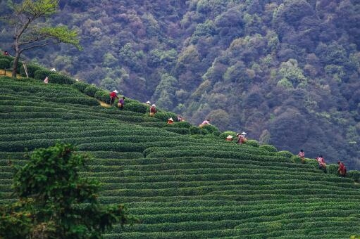 2023年上坟最佳时间指南插图