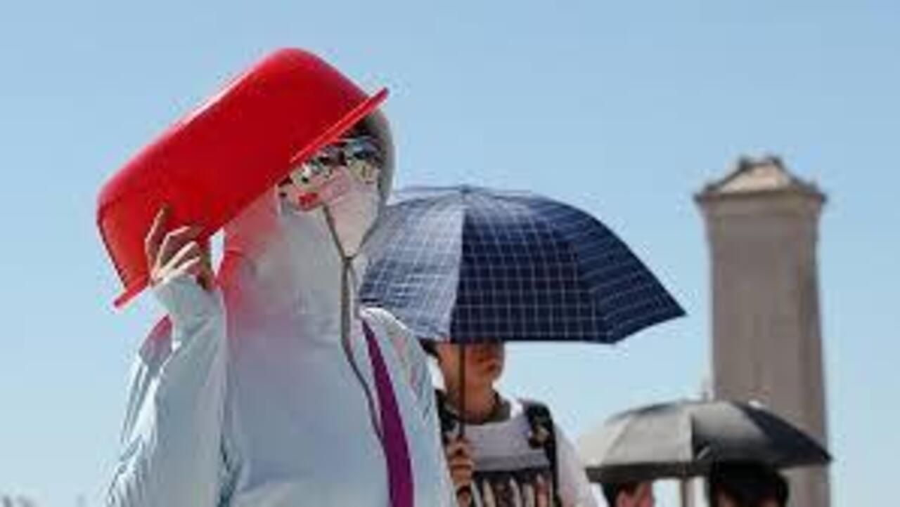 2023年黑兔年大灾难，预测与应对插图