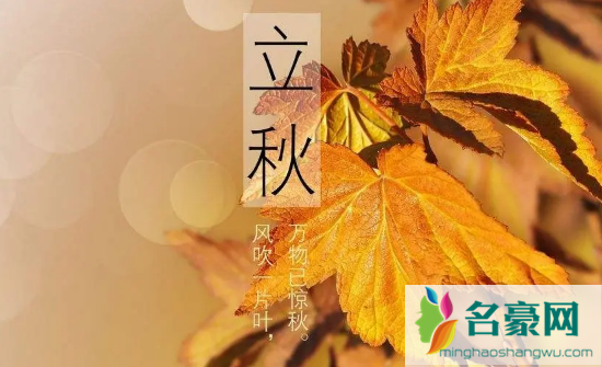 2022年立春时间几点插图