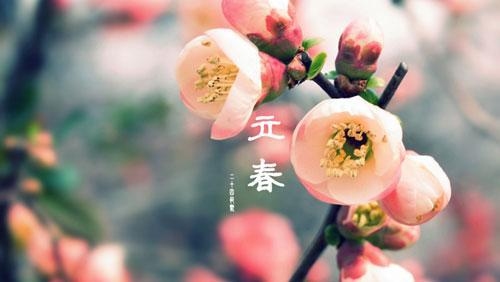 2014年立春时间及意义插图