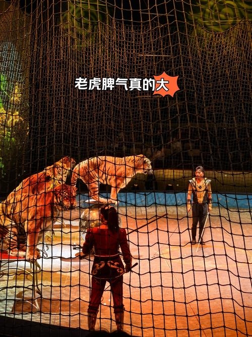 揭秘2010年生肖年—虎年风云际会插图