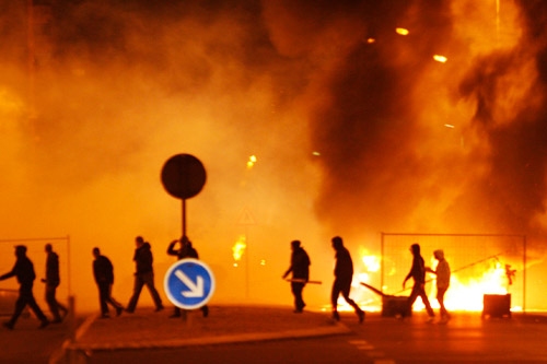 揭秘，11月26日背后的特殊日子插图