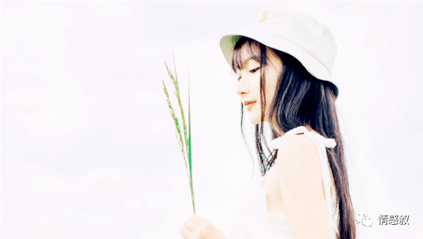 揭秘蛇蝎心肠—探寻最准确的生肖插图