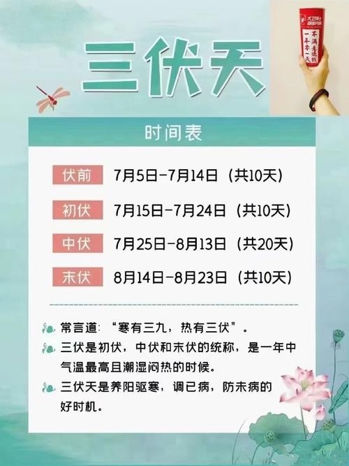 2020年入伏从哪天算起？插图