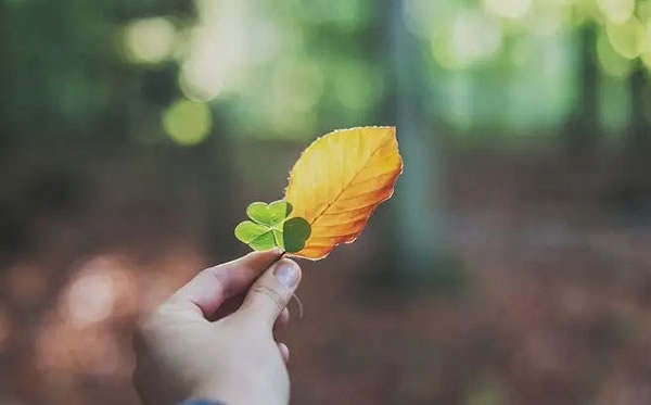 2023年犯太岁如何化解插图