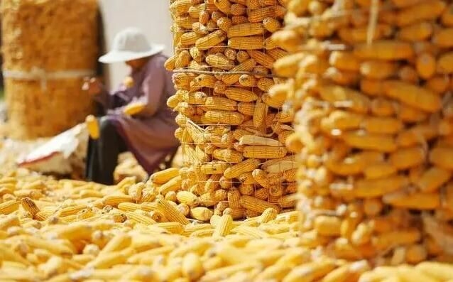 2020年立秋，标志秋季开始，影响农事活动插图