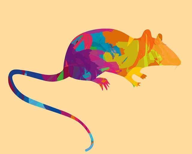 小肚鸡肠，生肖鼠的狭隘象征插图