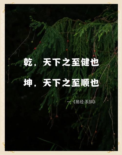 犬吠测吉凶法，智慧之道，洞察世态之变幻插图