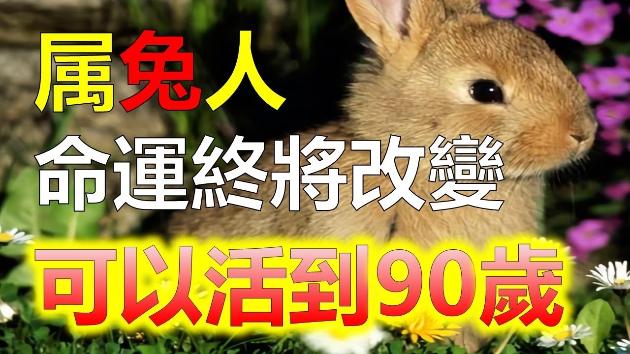 秋肖探秘，揭秘秋季生肖的独特魅力插图