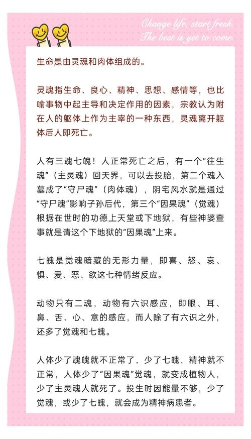 探索灵魂奥秘,前世死因分析插图 探索灵魂奥秘,前世死因分析插图