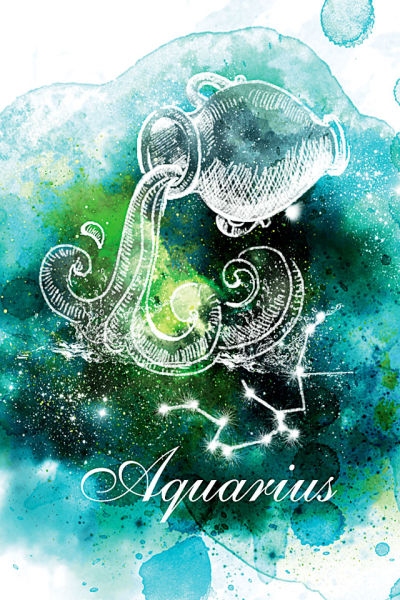 2014星座运势，双鱼水瓶年度详解，十一月各星座展望插图