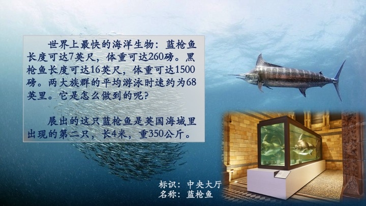 探索Thorne的多维度魅力，从文学到自然的奇妙之旅插图