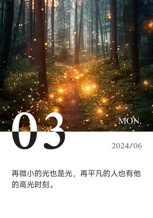 Sylvia，在时光长河中寻找温暖，照亮前行的星光插图