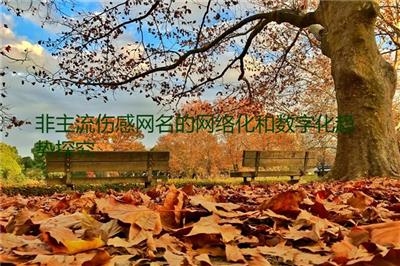 QQ伤心网名，网络背后的情感暗涌插图