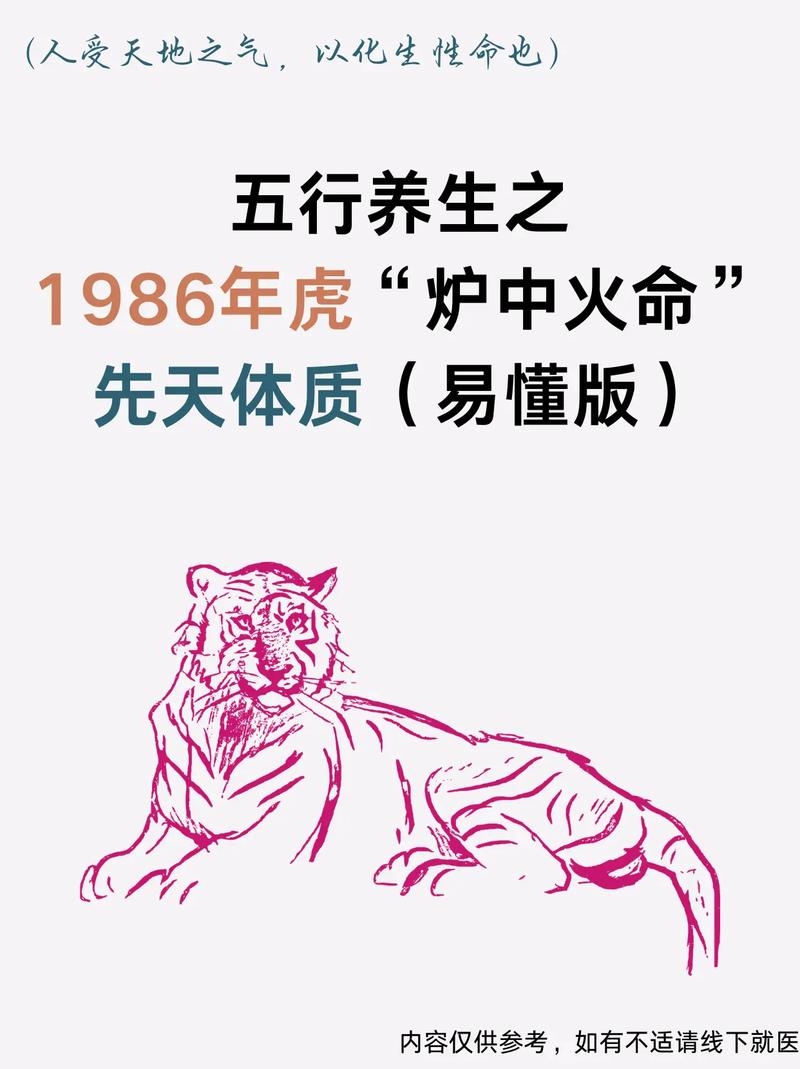 1926年属虎，炉中火命，逆风之虎插图