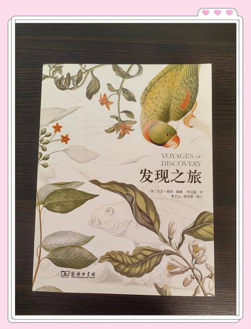 探索Enning的奥秘，一种心灵的宁静与自我发现的旅程插图