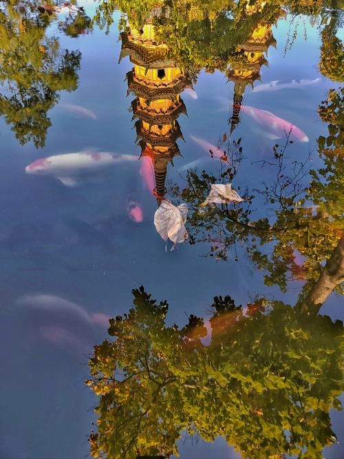 Duobao现象，中国式共享经济的独特风景插图