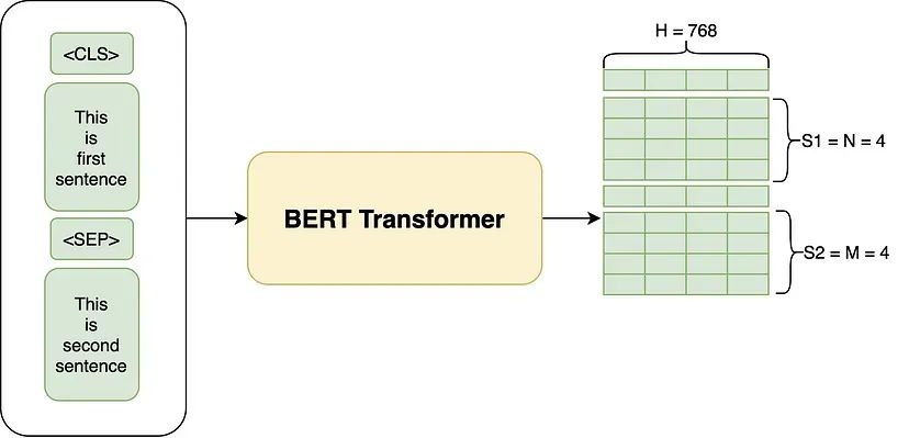 Bertie，从理论到实践——探索BERT的衍生模型及其应用插图