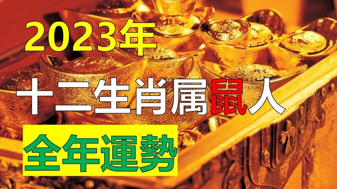 2013年属鼠人运势，正财高照，偏财需谨慎插图