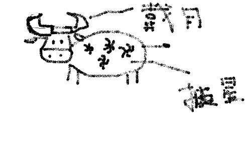 披星戴月生肖揭秘插图