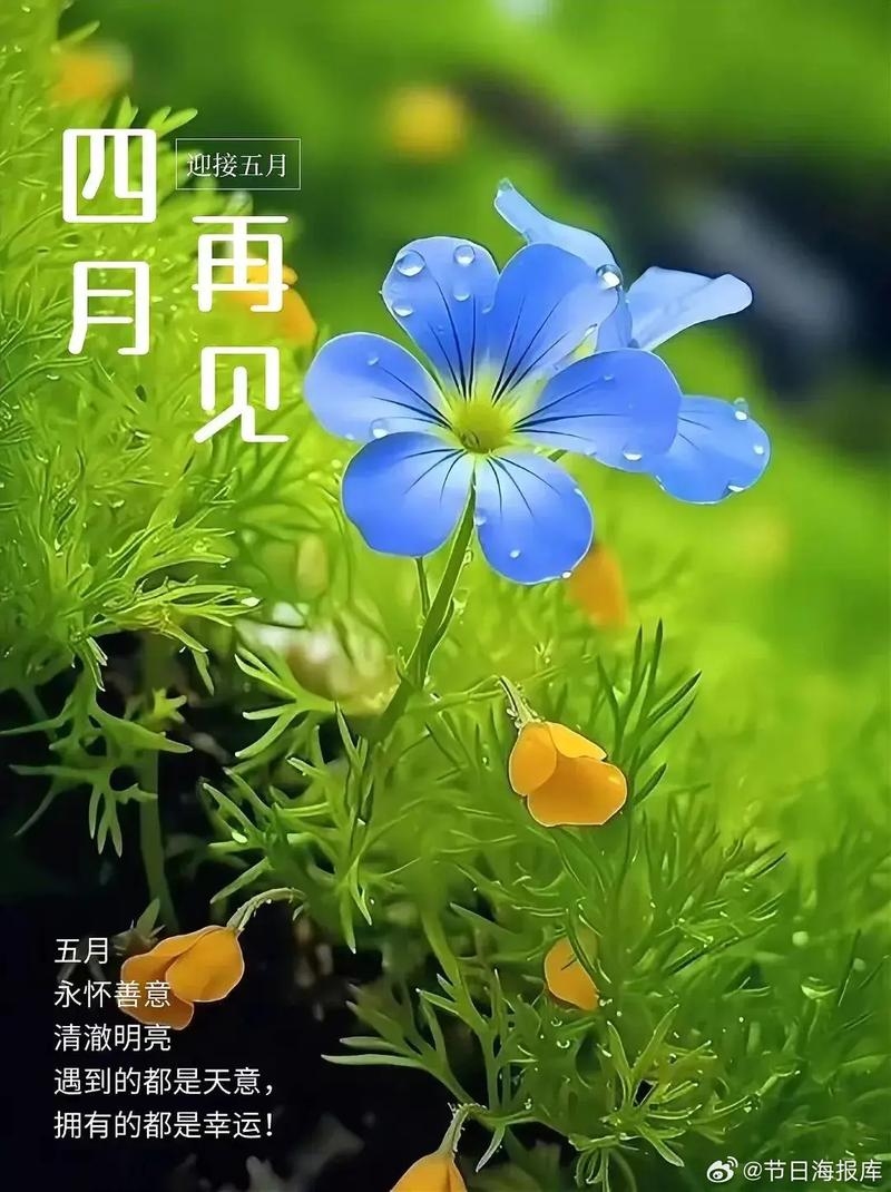 揭秘4月30日的特殊意义插图