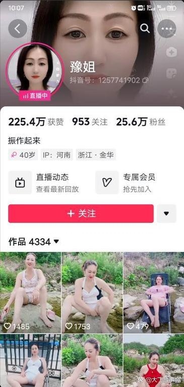 揭秘抖音抖乳ID，网络流行背后的真相与风险插图