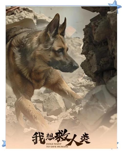 患难与共—共渡难关的忠实伙伴—狗插图 患难与共—共渡难关的忠实伙伴—狗插图