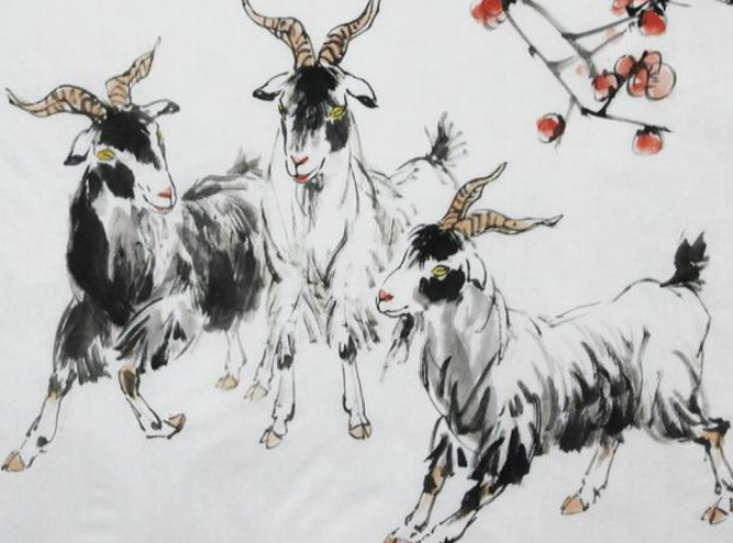 患难与共生肖揭秘插图