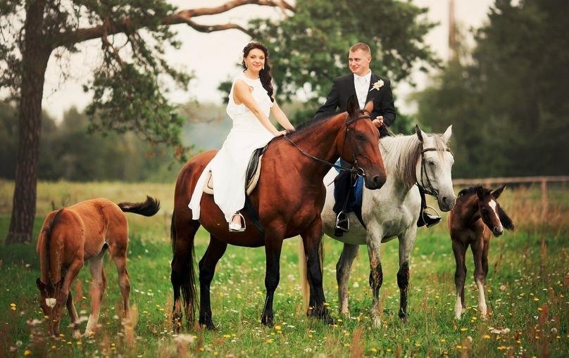 属羊与马、兔或猪最配，婚姻旺财选亥猪、卯兔和午马插图