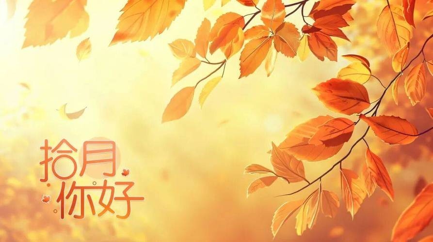 10月日历，秋意渐浓，岁月静好插图