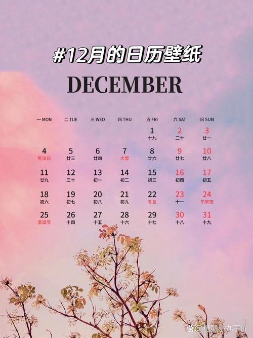 12月日历，解锁2023年全年精彩插图