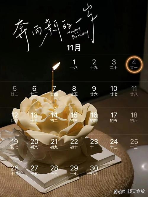 11月4日，特殊的日子与纪念插图